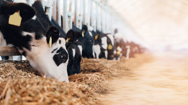 AdobeStock 686808701