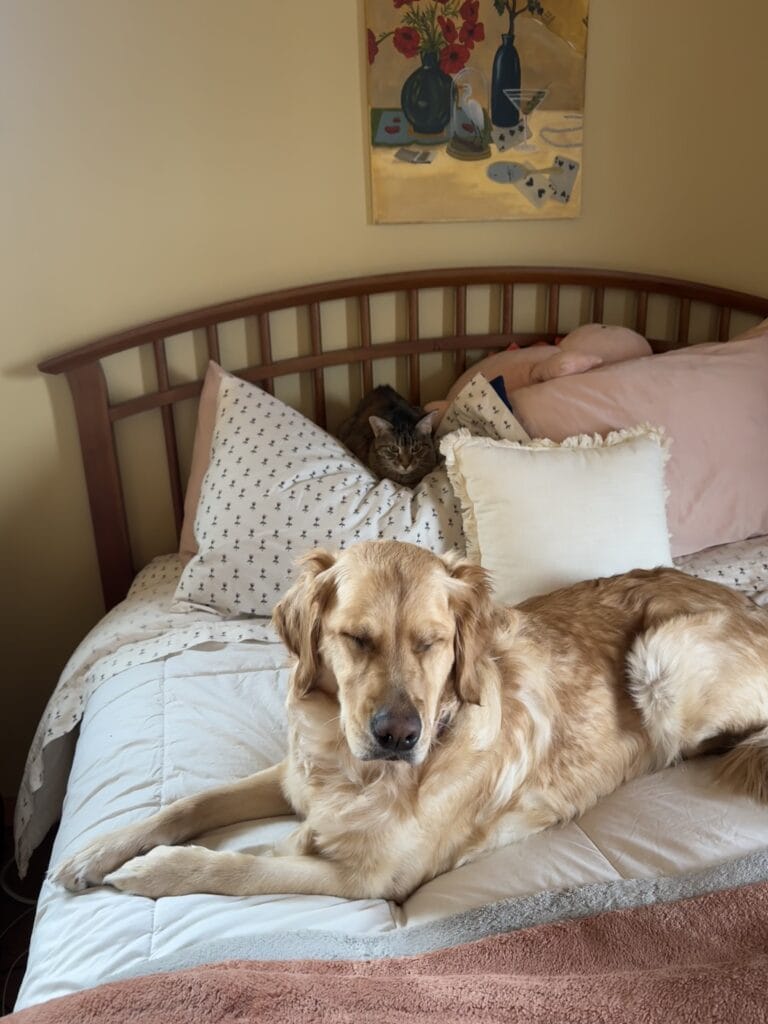 MadeleineSchiller pets